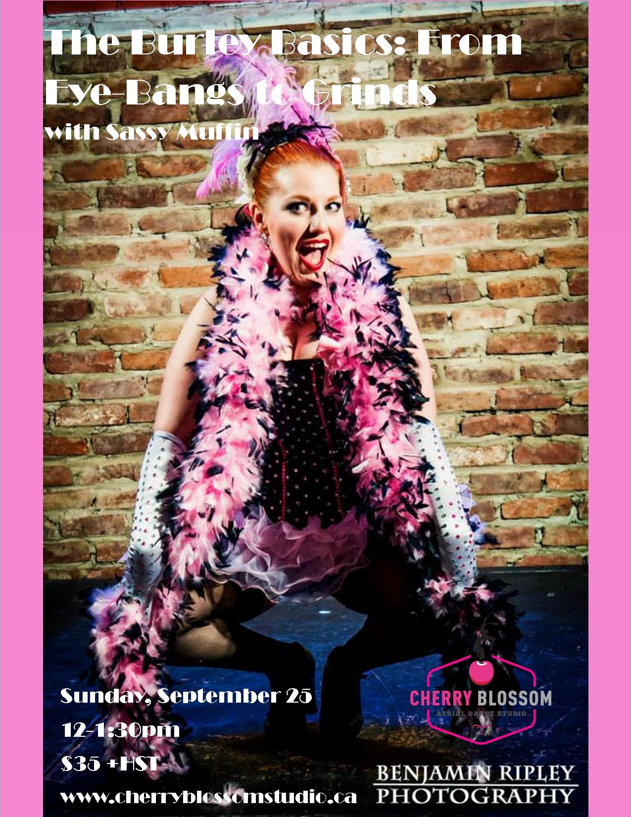 The Burley Basics Cherry Blossom Aerial Dance Studio